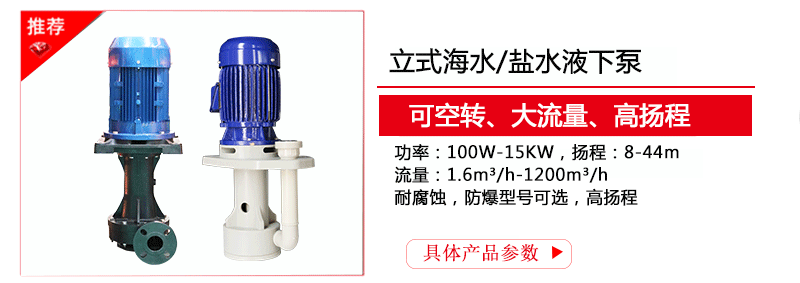 盐水液下泵型号参数