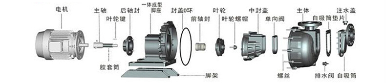 耐酸碱自吸泵分解及零配件
